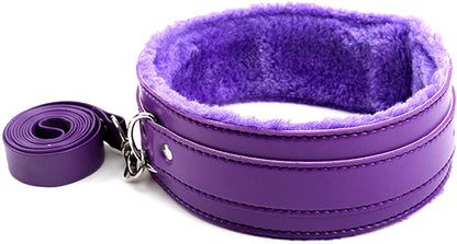 Faux Leather Collar and Leash